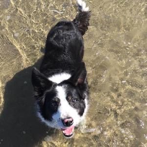 Meet your Posher, Kacie